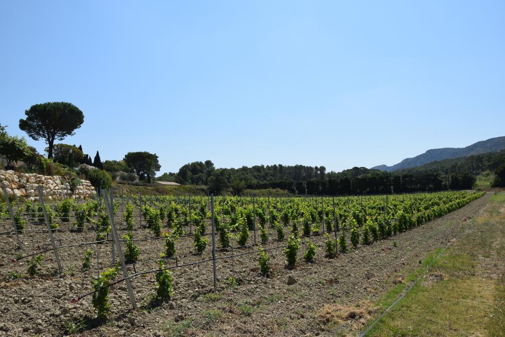 Les Résidences de Métifiot Saint-Rémy-de-Provence Exterior foto