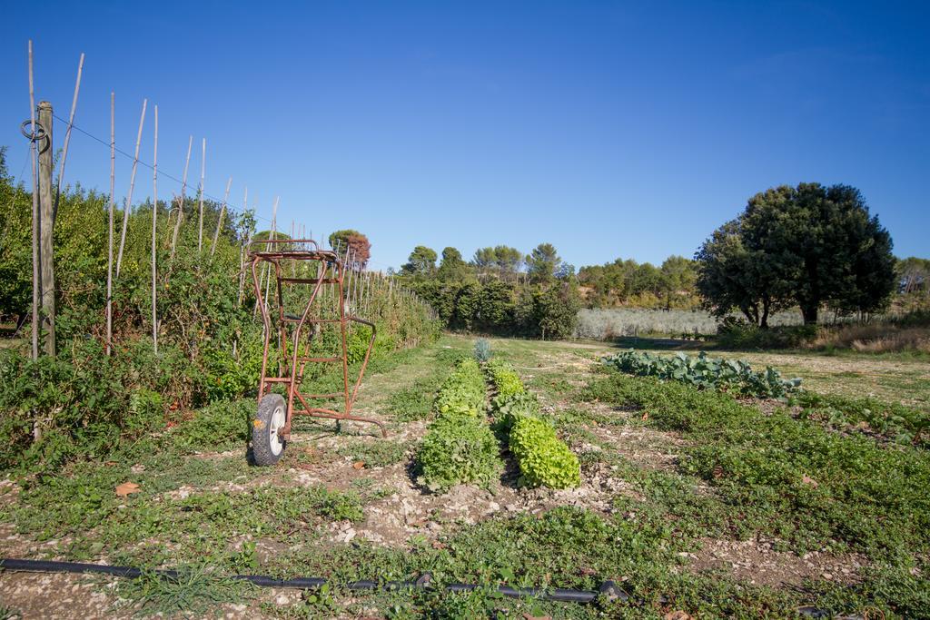 Les Résidences de Métifiot Saint-Rémy-de-Provence Exterior foto