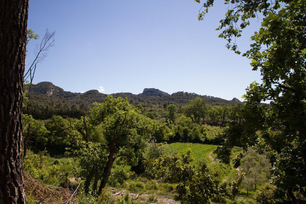 Les Résidences de Métifiot Saint-Rémy-de-Provence Exterior foto